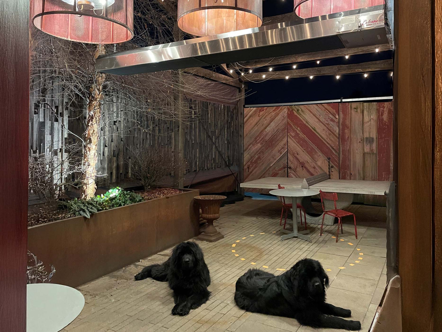 Calcana Infrared Heaters Heating Patio Area with Dogs Safely Underneath the Heater