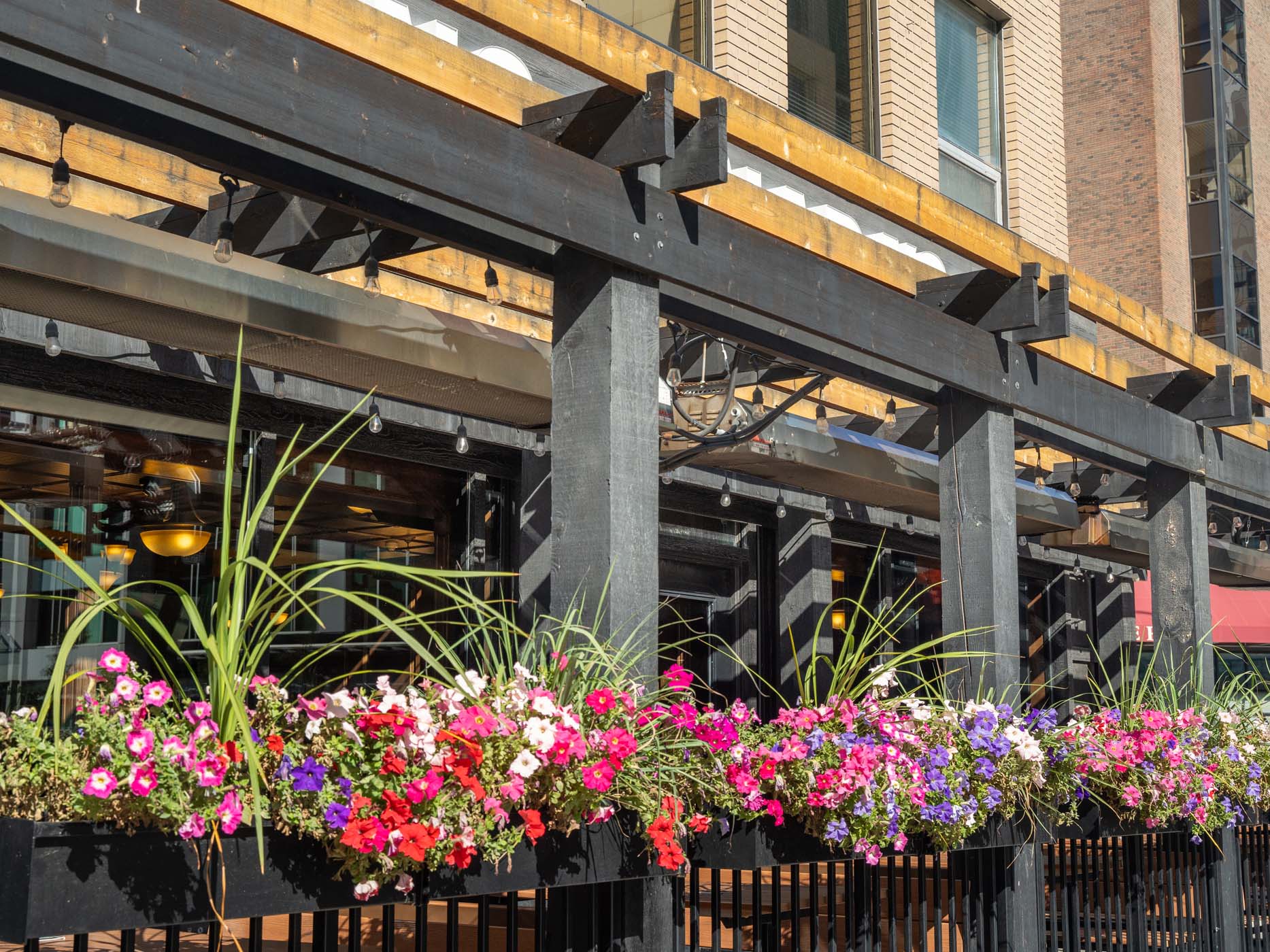 Infrared Patio Heaters Three Set with Tons of Flower Close By