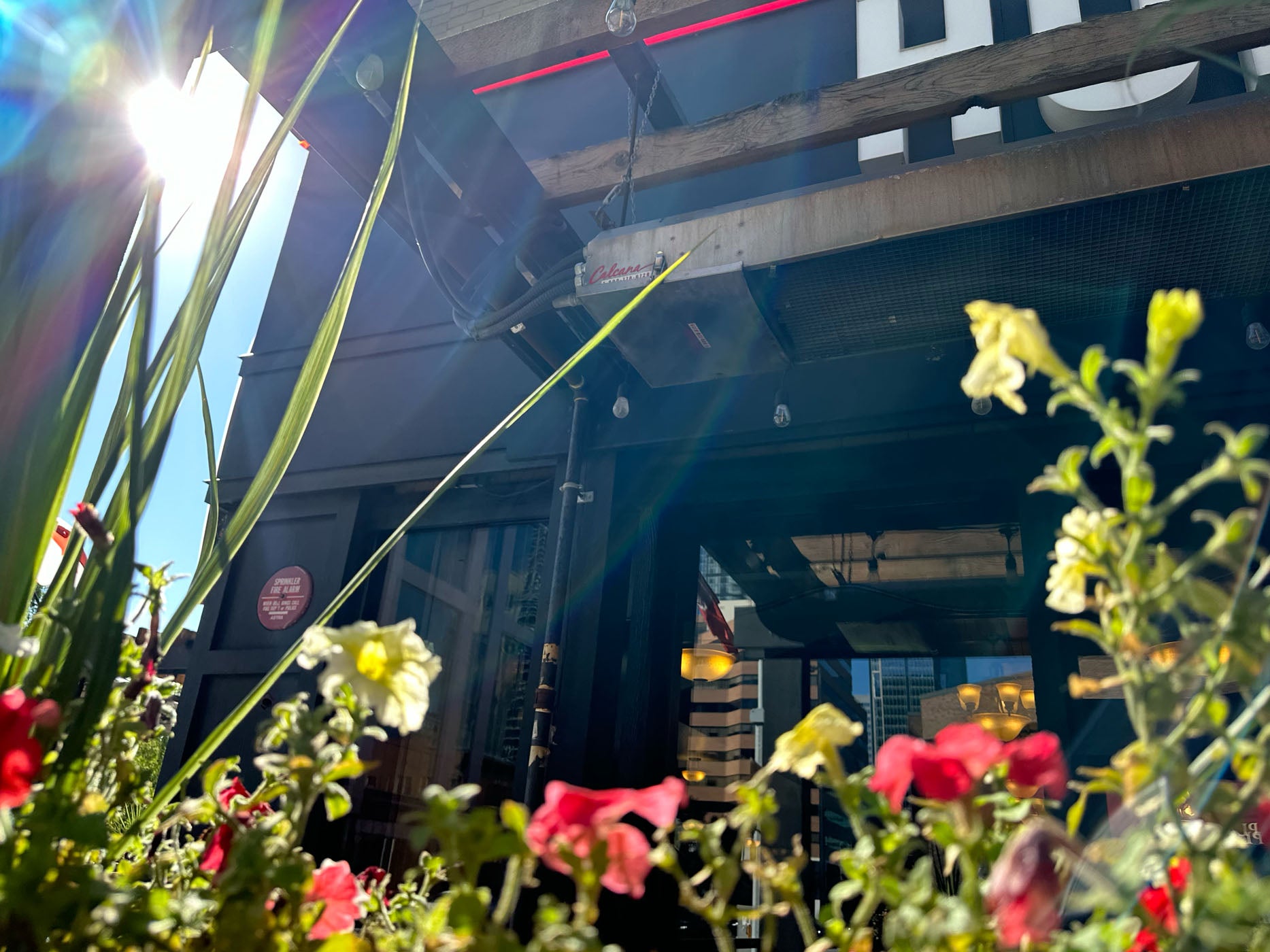 Infrared Patio Heater with Sun Flare & Beautiful Flowers